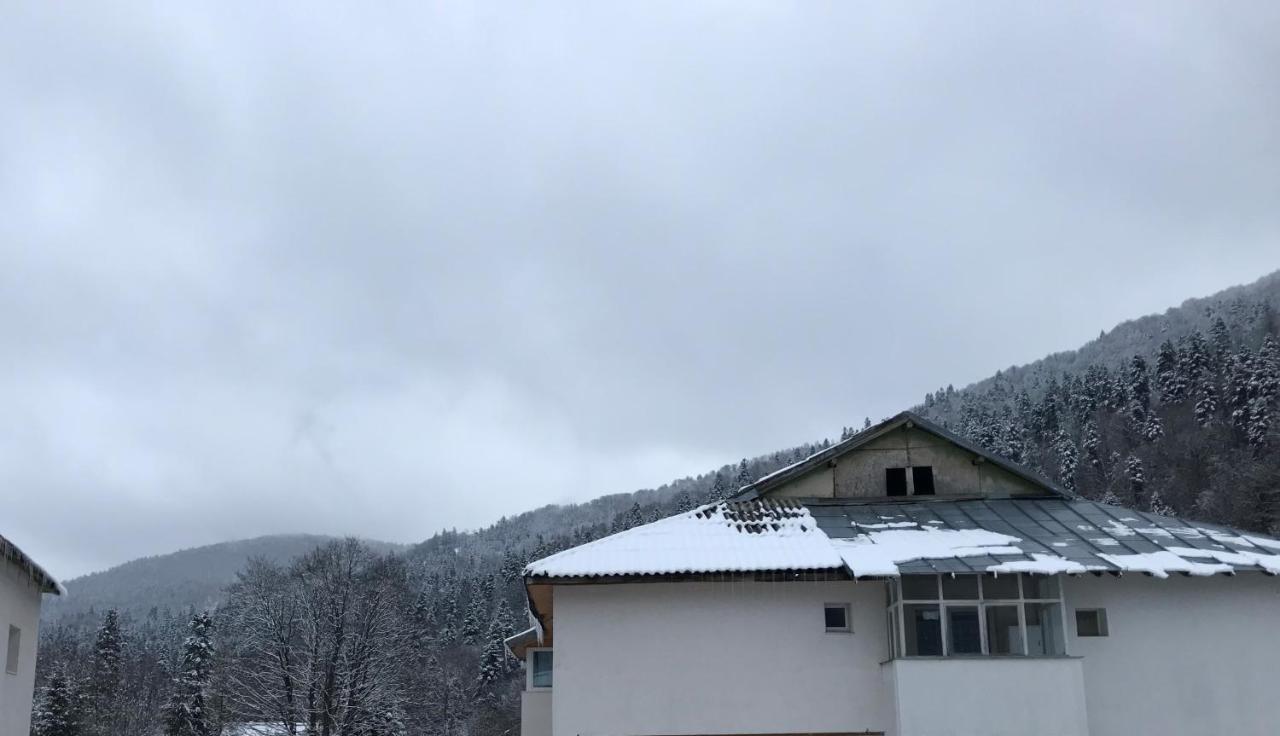 Cocooning In A Lovely Mountain Suite - One Azuga Exterior photo